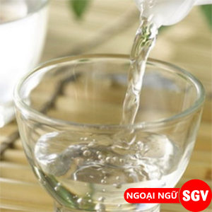 Rượu đế là gì, ngoại ngữ SGV.